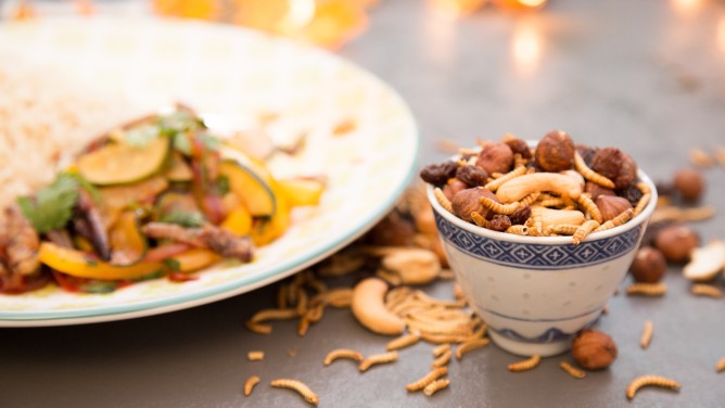 Insekten-Rezepte Insekten-Rezepte